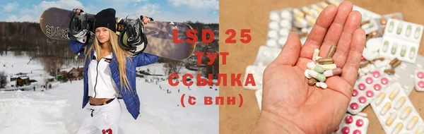 крисы Аркадак