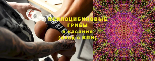 крисы Аркадак