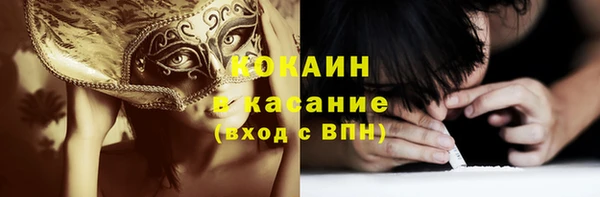 крисы Аркадак