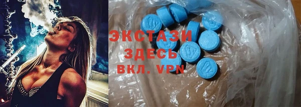 крисы Аркадак