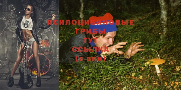 крисы Аркадак