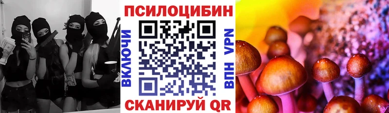 Галлюциногенные грибы Psilocybine cubensis  Поронайск 